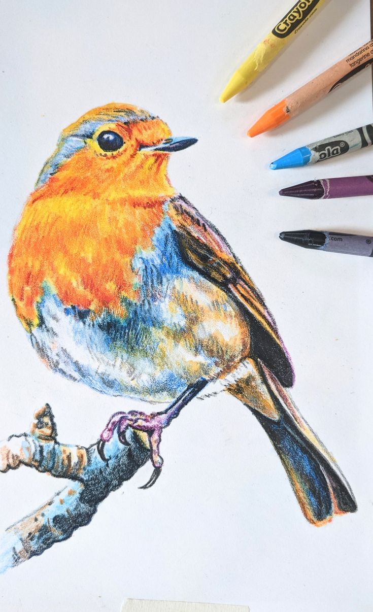 Crayon painting of a Robin sitting on a branch by Deidre Wicks Color Crayon Art, Pencil Crayon Drawing Easy, Oil Pastel Animal Drawings, Wax Colour Drawing, Crayola Colored Pencils Art, Drawing With Wax Crayons, Pencil Crayon Art Drawings, Crayola Crayon Art, Coloured Pencils Drawing