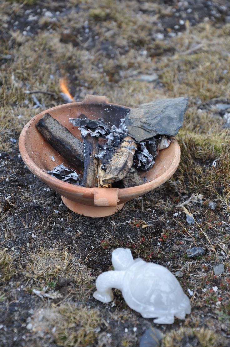 a bowl full of garbage sitting on the ground next to a plastic turtle and firewood