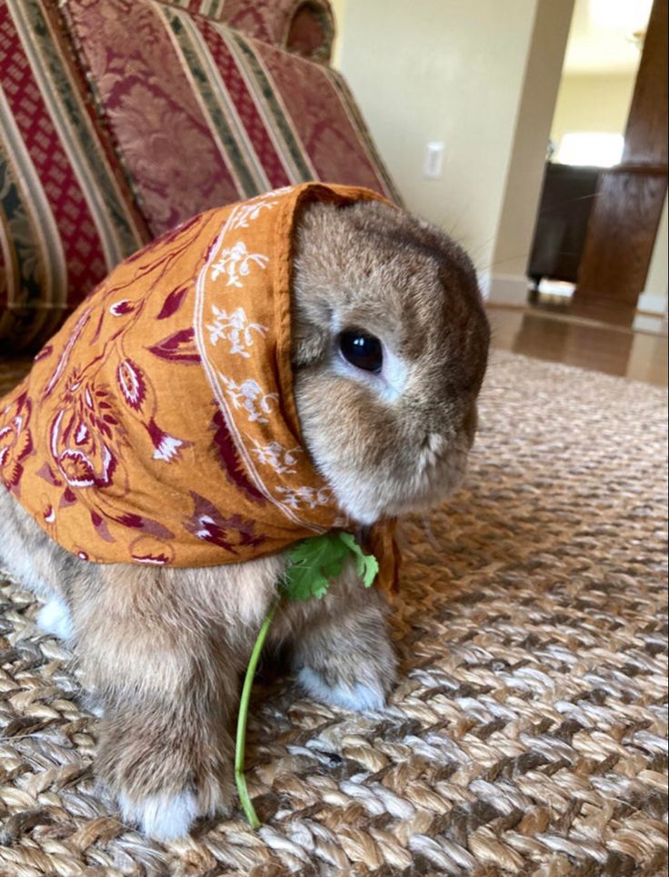 a small rabbit wearing a scarf on top of it's head