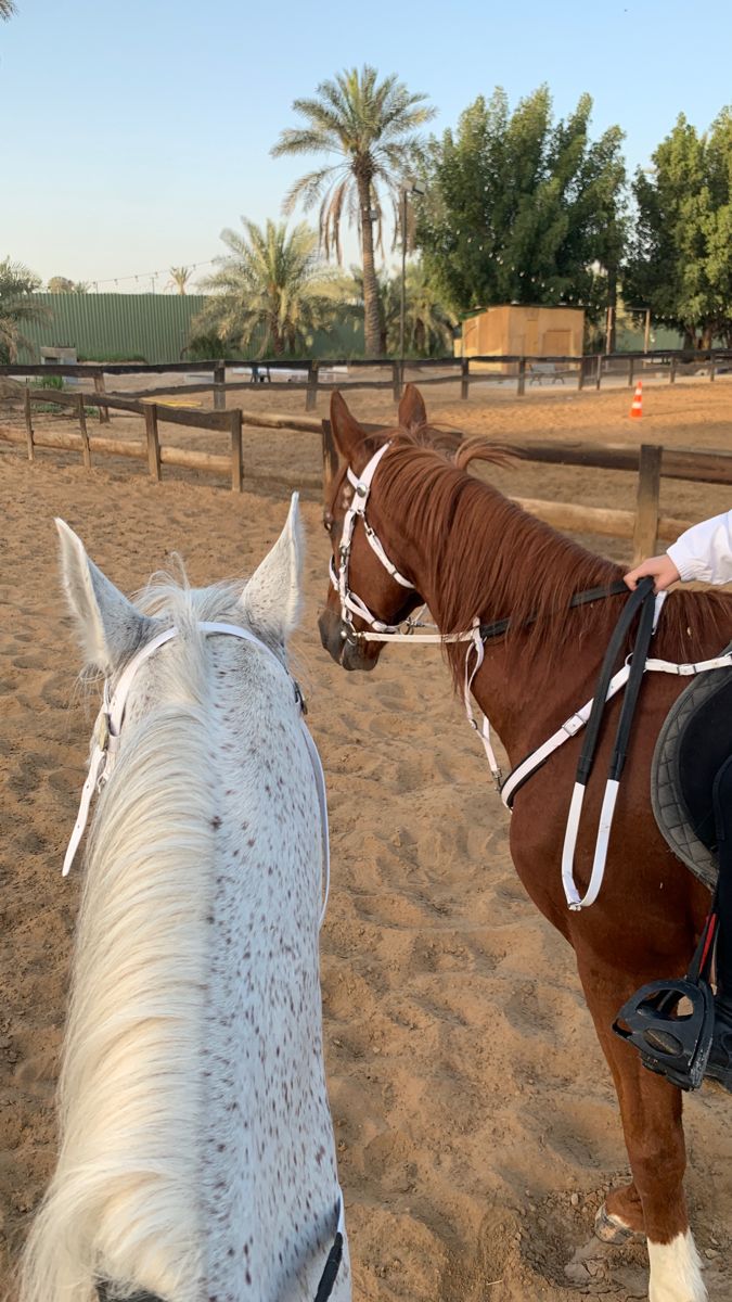 a man riding on the back of a brown horse next to a white and black horse