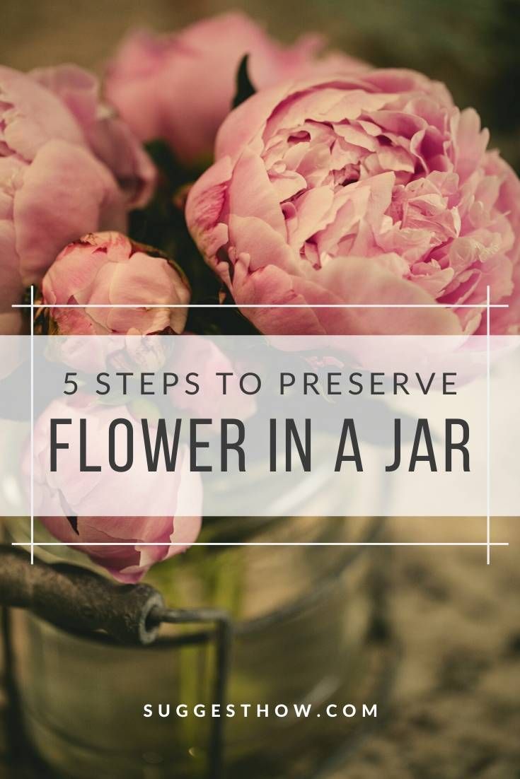 pink flowers in a jar with the words 5 steps to preserve flower in a jar