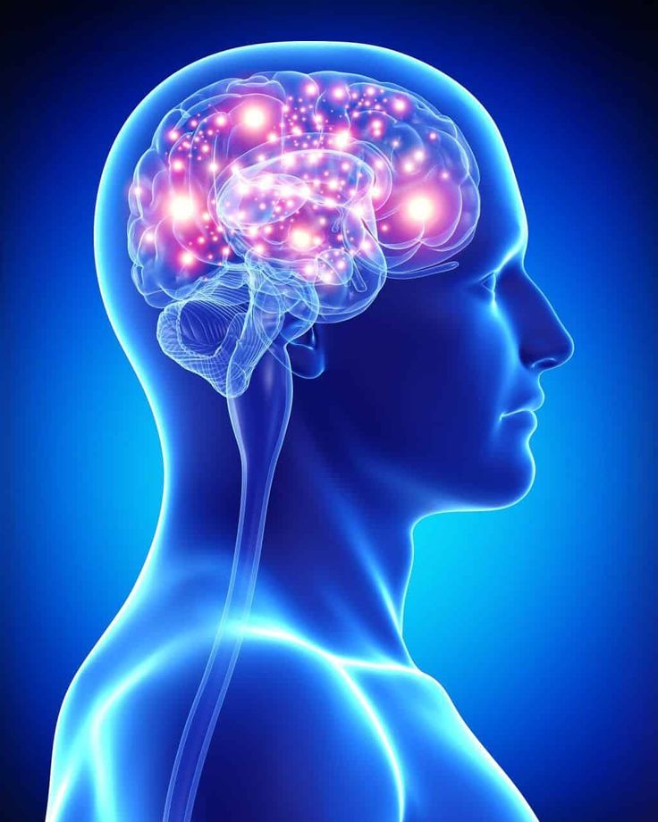 One or more of these five tips for keeping your brain functioning at full capacity may surprise you. Brain Diseases, Brain Boost, The Human Brain, Mental Training, Brain Power, Food List, Human Brain, Neurology, Diet Food