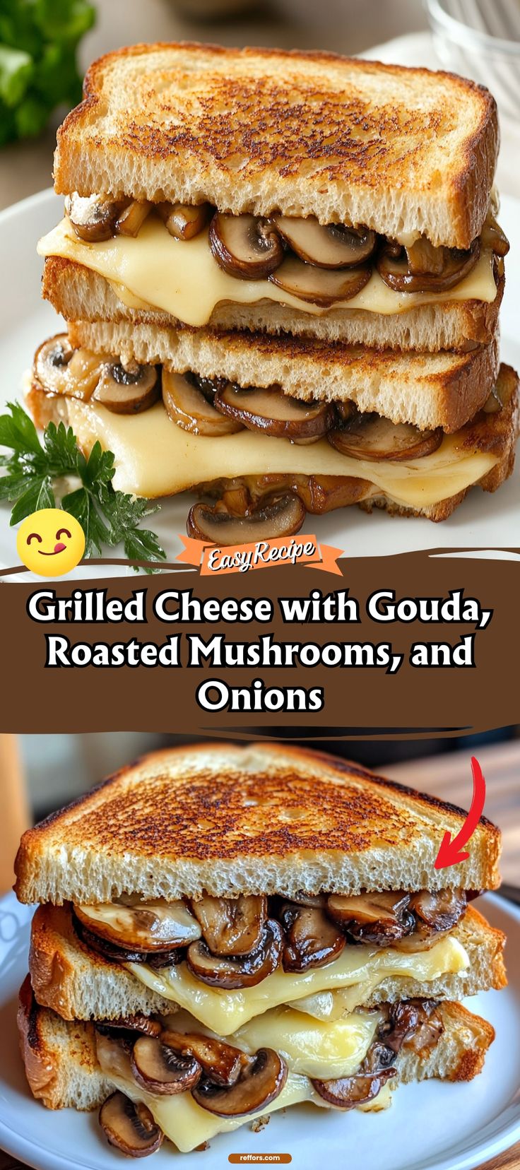 grilled cheese with gourmet, roasted mushrooms and onions on toasted bread