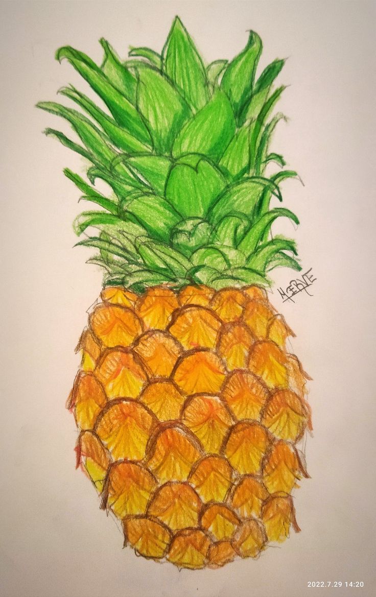 a drawing of a pineapple with green leaves on it's top and bottom