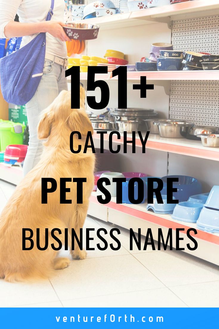 a dog sitting on the floor in front of a store shelf with text overlay that reads, 161 + catchy pet store business names