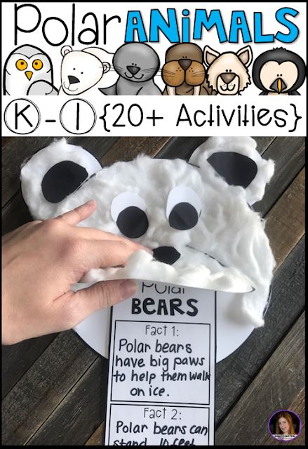 polar animals activities for kids to learn about the polar bears and how they use them