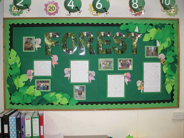 a green bulletin board with pictures on it and the word forest written in large letters