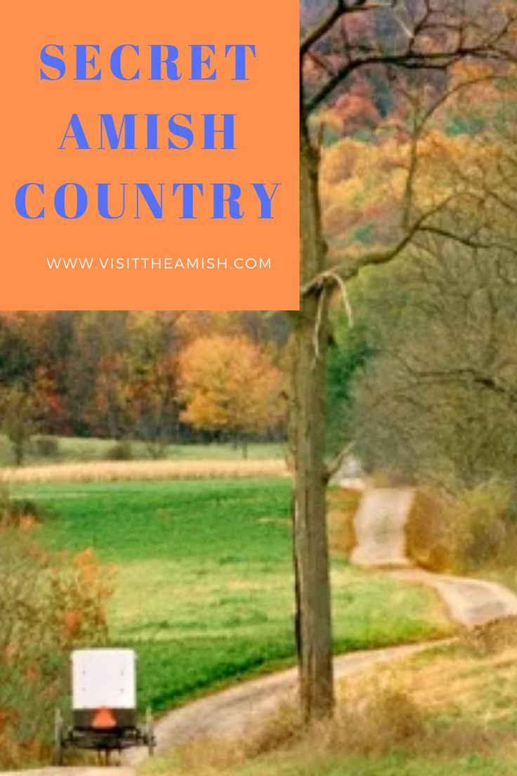 a truck driving down a dirt road next to a lush green field with trees in the background