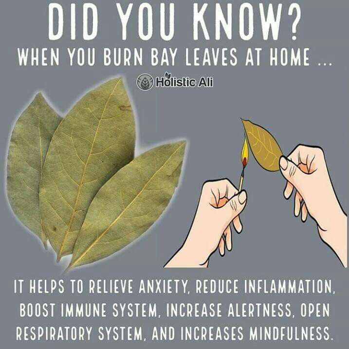 Burn Bay Leaves, Burning Bay Leaves, Magia Das Ervas, Herbal Magic, Bay Leaves, Nutrition Education, Edible Plants, Natural Health Remedies, Healing Herbs