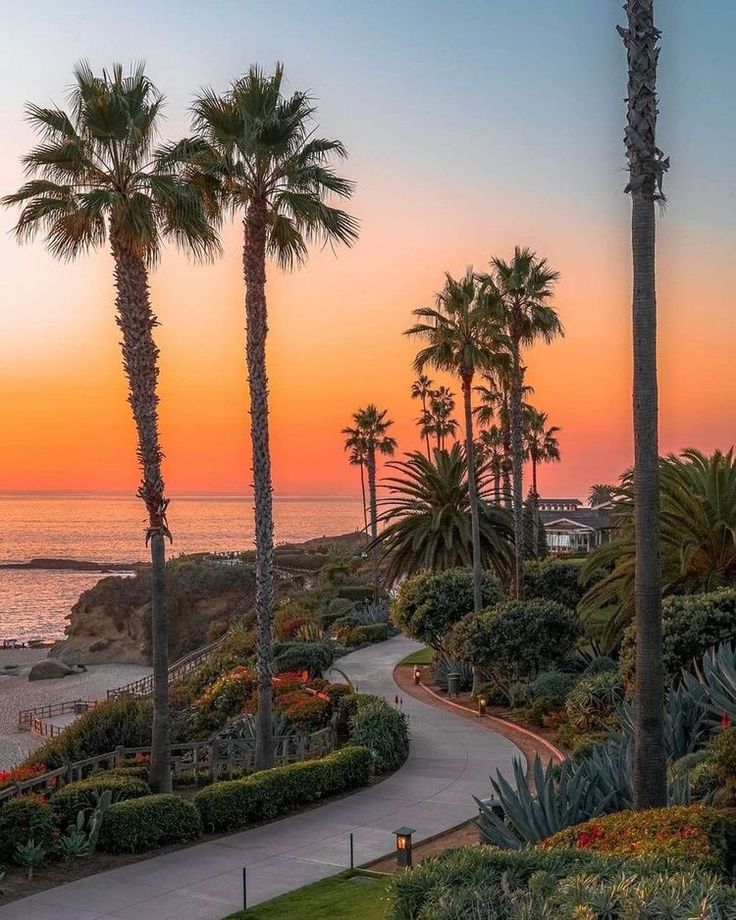 palm trees line the beach at sunset in laguna del margara, california usa