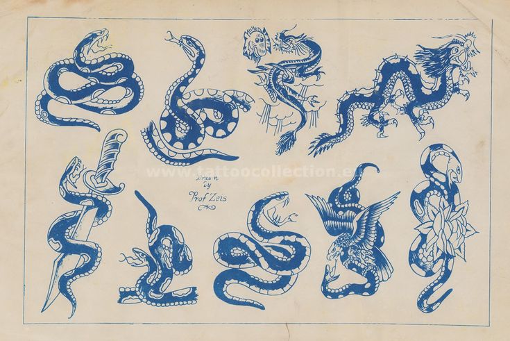 an old book with blue ink drawings of snakes