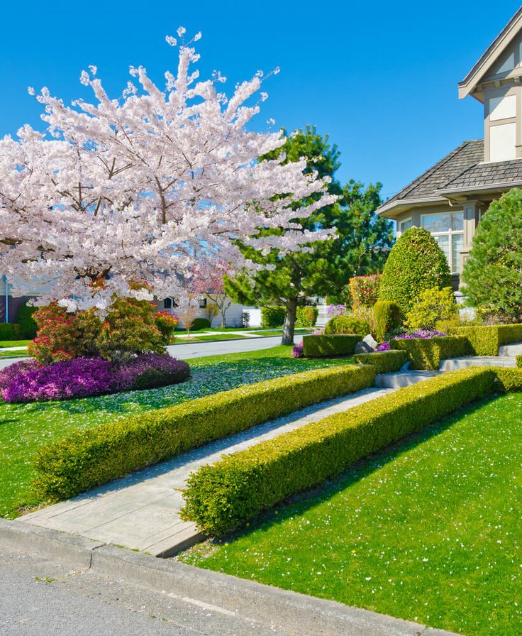 the front yard of a house with trees and bushes in blooming, on a sunny day