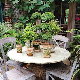 there are many potted plants on top of the table and around the chairs in the garden