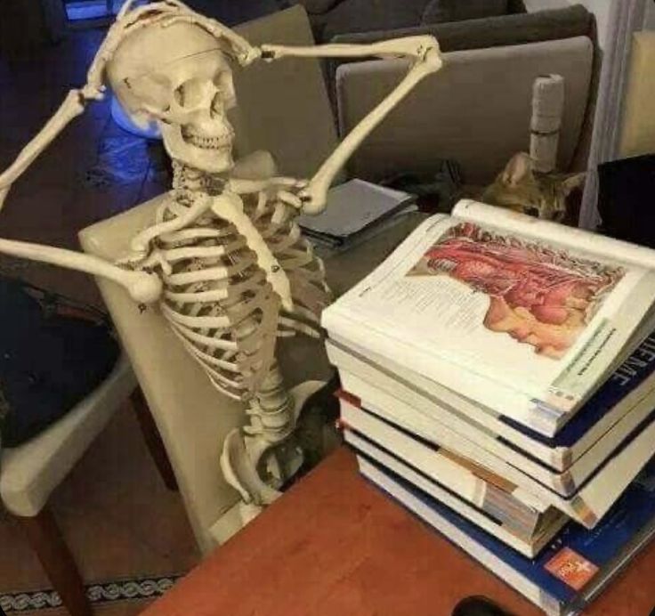 a stack of books sitting on top of a wooden table next to a skeleton statue