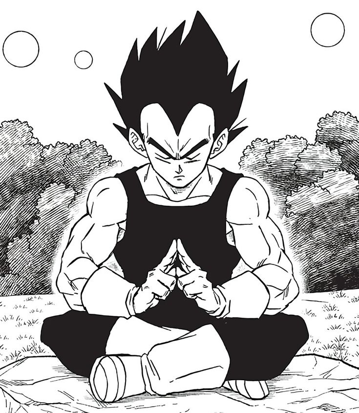 a black and white drawing of gohan sitting on the ground in front of trees