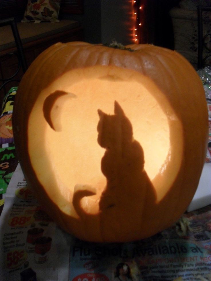 a cat carved into a pumpkin with the shadow of a person's head on it