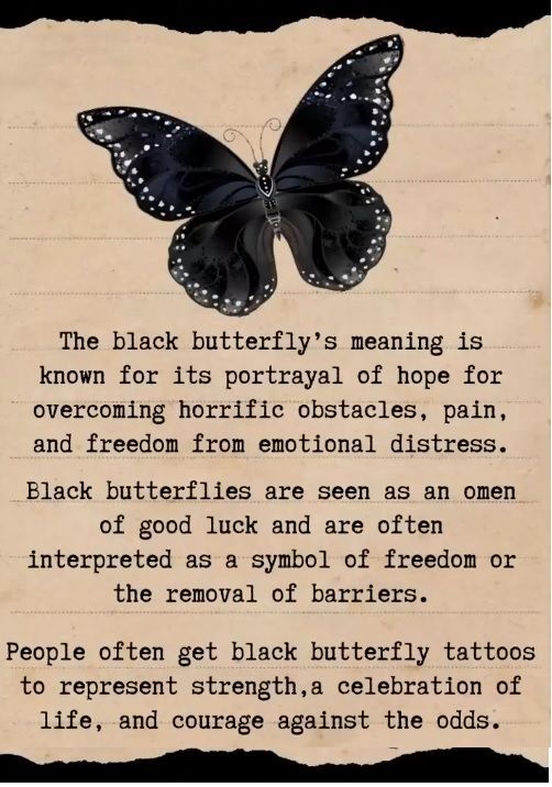 a poem written in black and white with a butterfly on it's back side