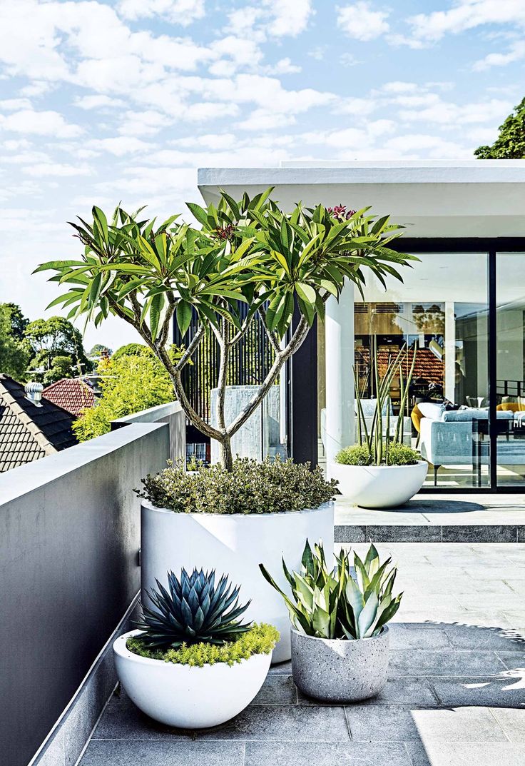 two large white planters sitting on top of a patio