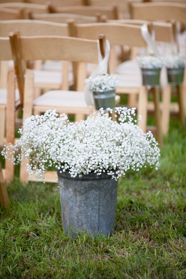 white baby's breath flowers sit in buckets on the grass at an outdoor ceremony