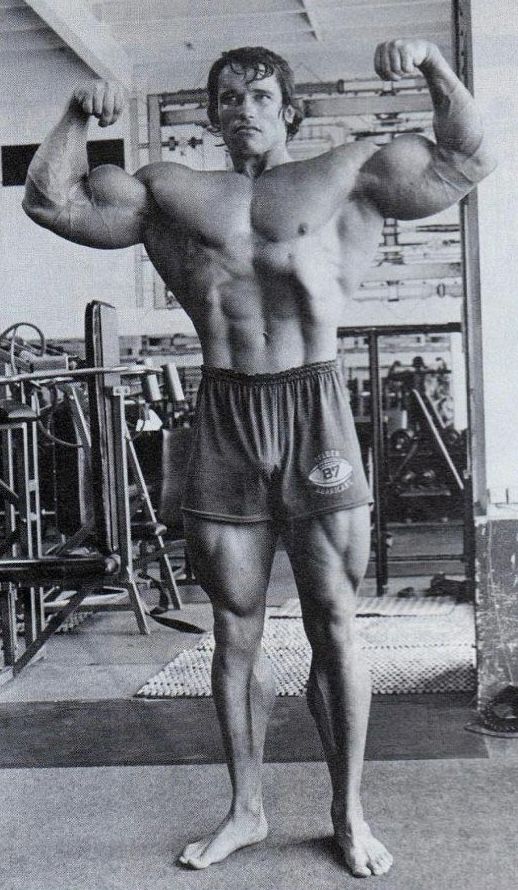 a man posing for the camera with his muscles exposed and arms stretched out in front of him