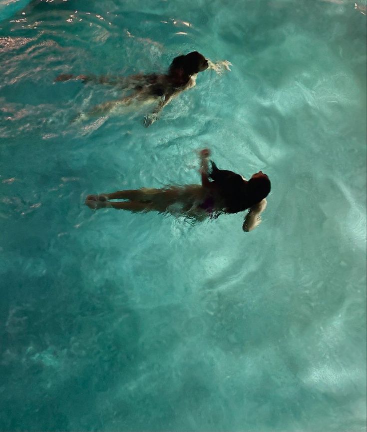 two people are swimming in the blue water with their backs turned to the camera,