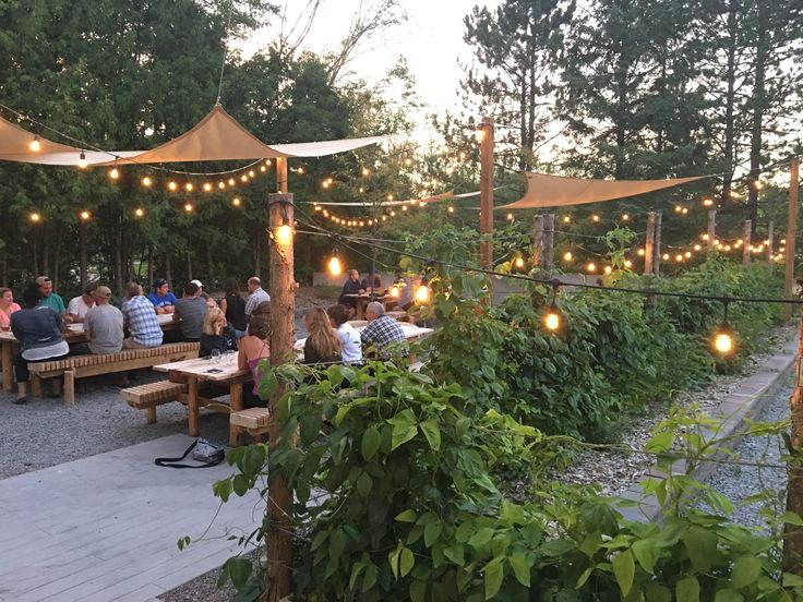 a group of people sitting at picnic tables with lights strung from the trees around them