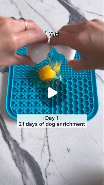 Mika | Golden Retriever on Instagram: "💡Day 1 of 21 Days of Dog Enrichment

Easy, healthy, long lasting. We’re kicking off this series with one of the most genius enrichment hacks we’ve done. 

Prep time: 1 minute
Ingredient: 1 egg
How to: Spread raw egg on microwavable lick mat, microwave 30s. Let it cool before serving. It’s best when the egg is gently cooked. If it’s cooked too much, it might be too hard for them to lick off from the lick mat and cause frustration.😋

IB: @itsatlasthegolden 

#dogenrichment #dogtips #enrichmentfordogs #ditchthebowl #doghacks" Enrichment For Dogs, Dog Enrichment Ideas, Canine Enrichment, Doggie Treats, Dog Enrichment, Dog Hacks, The Egg, 1 Egg, 21 Days