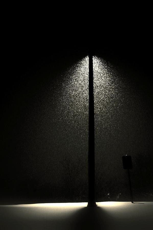 a street light in the dark with rain coming down on it's sides and trees