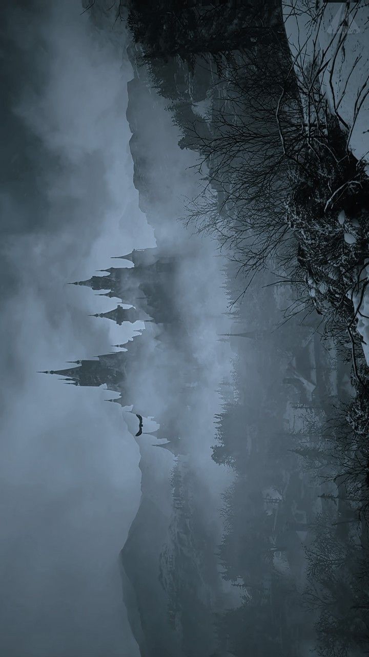 a body of water surrounded by trees and fog