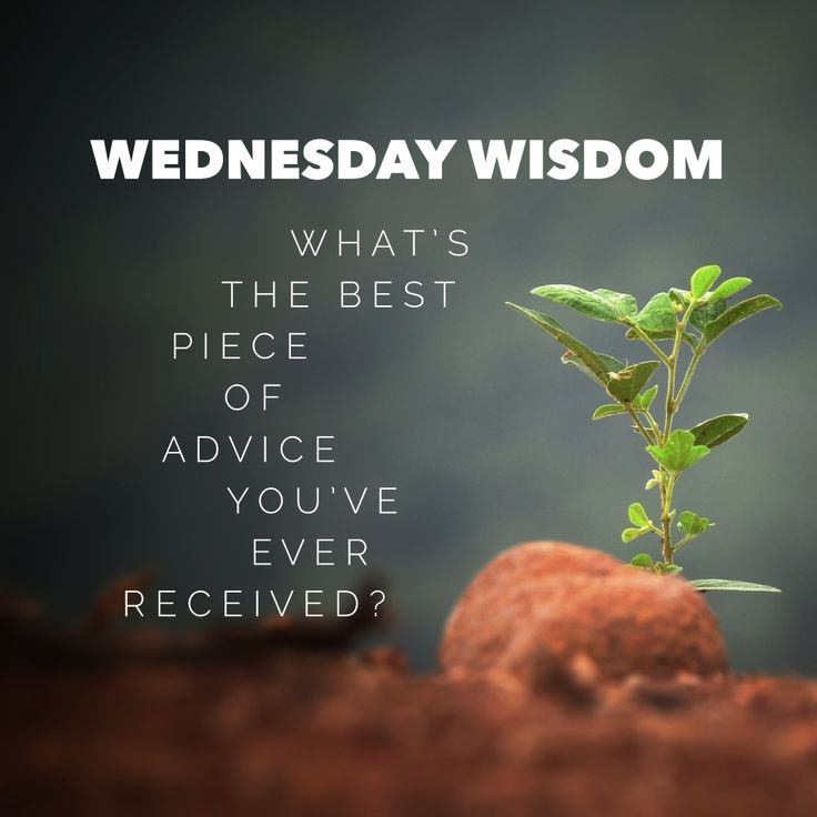 a small plant sprouting out of dirt with the words wednesday wisdom on it