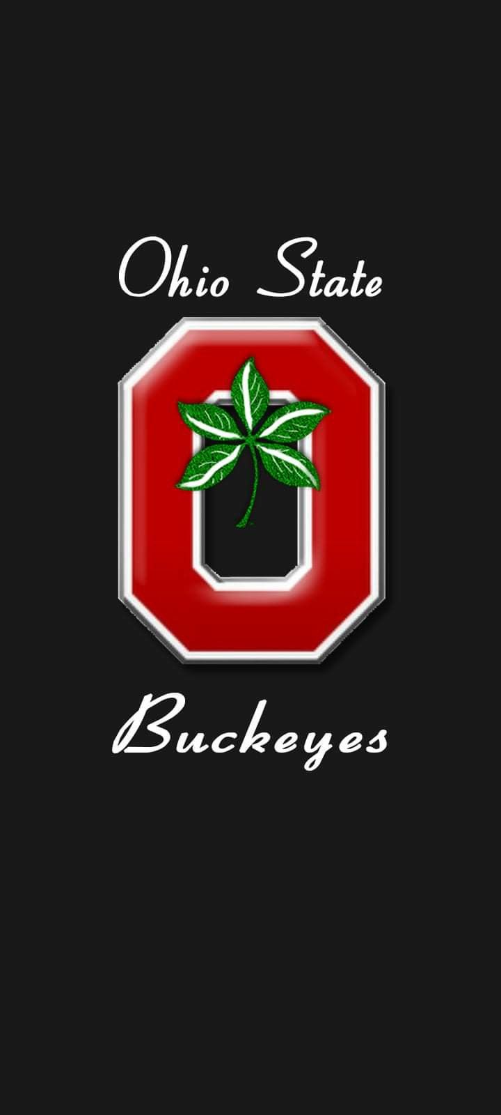 the ohio state buckeyes logo is shown on a black background with green leaves