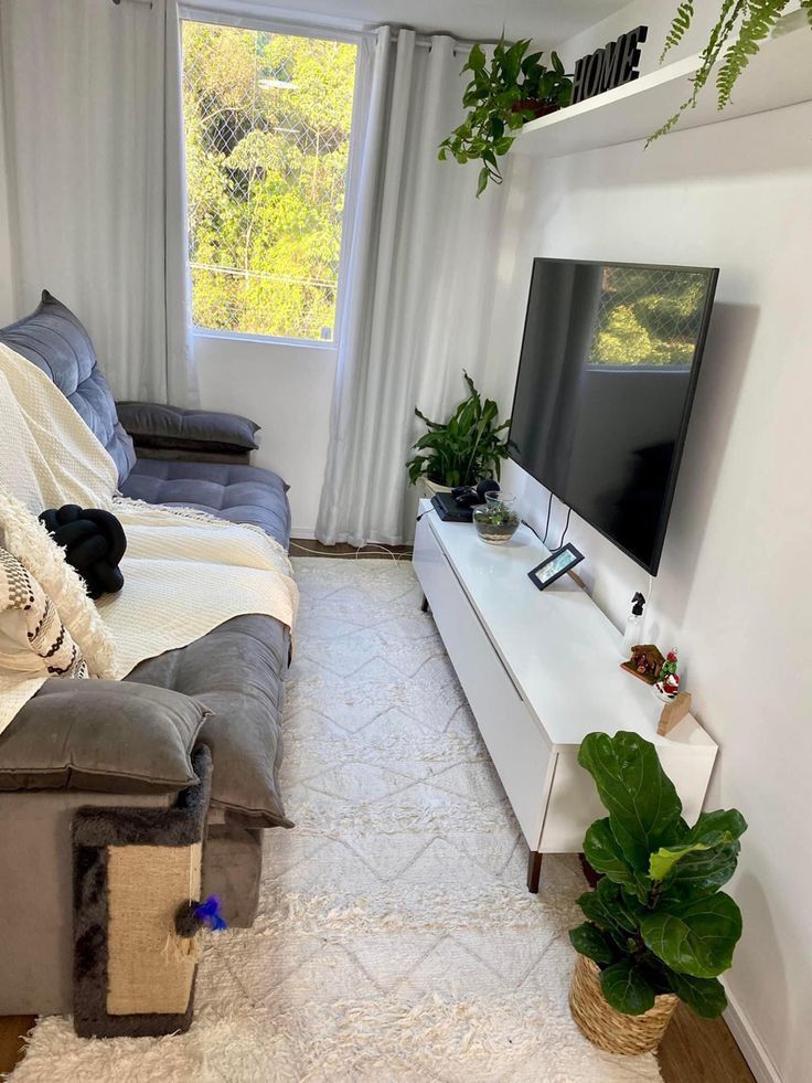 a living room with a couch, television and plants in it's corner area