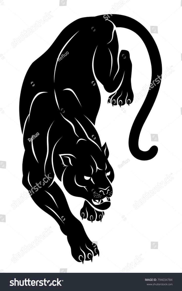 black and white silhouette of a panther on a white background, this is an image of a