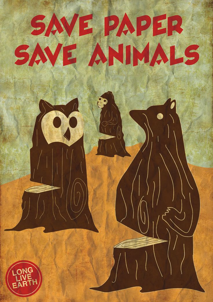 an old book cover with two bears and one bear on it's back, the title says save paper save animals