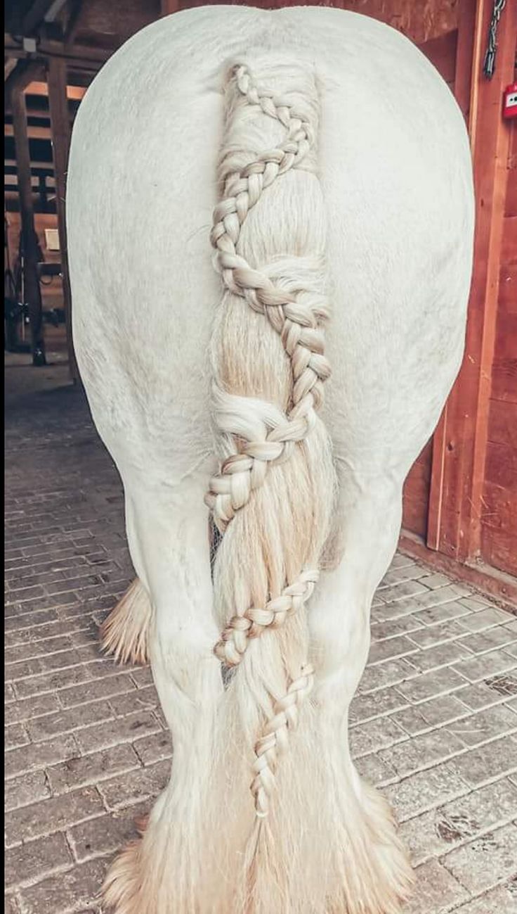 a white horse with braids on it's back