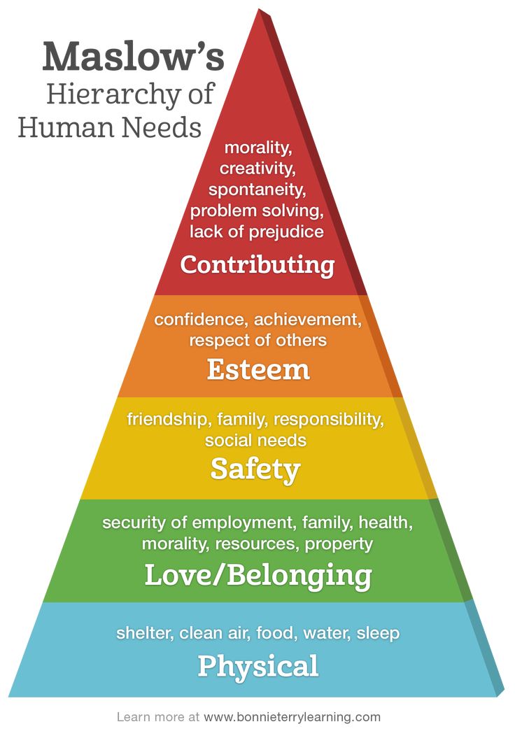 the maslow's hierarchy of human needs