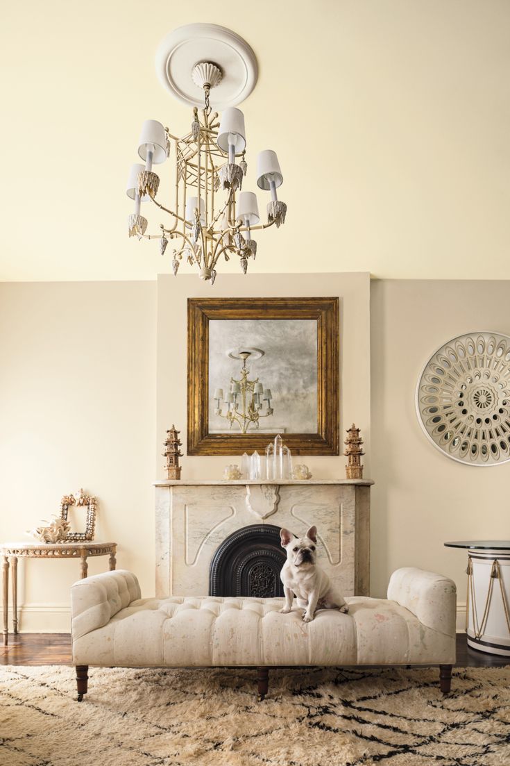 a dog sitting on top of a couch in front of a fire place and chandelier