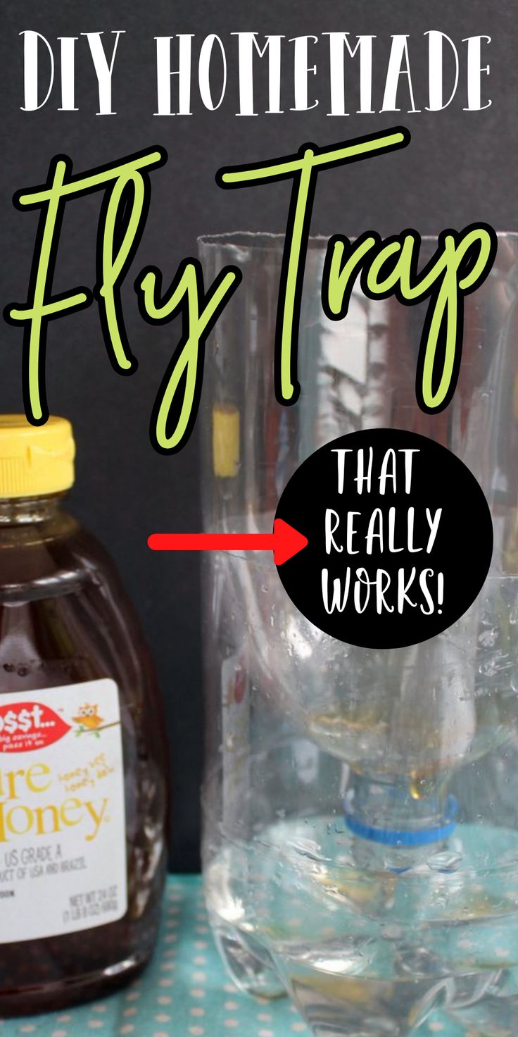 a jar of honey next to a glass with the words diy homemade fly trap that really works