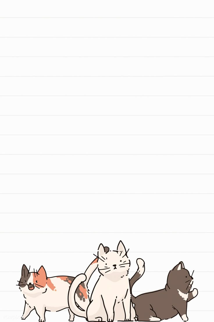 three cats and one dog are standing in front of a blank sheet with space for text