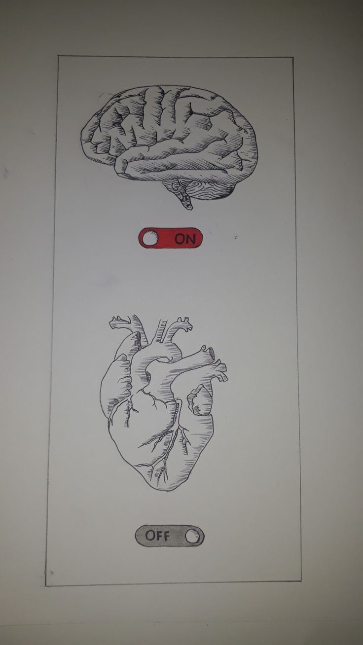 a drawing of a human heart and a brain on a white sheet with red marker