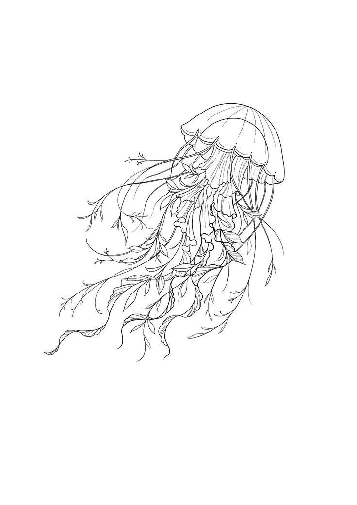 a black and white drawing of a jellyfish