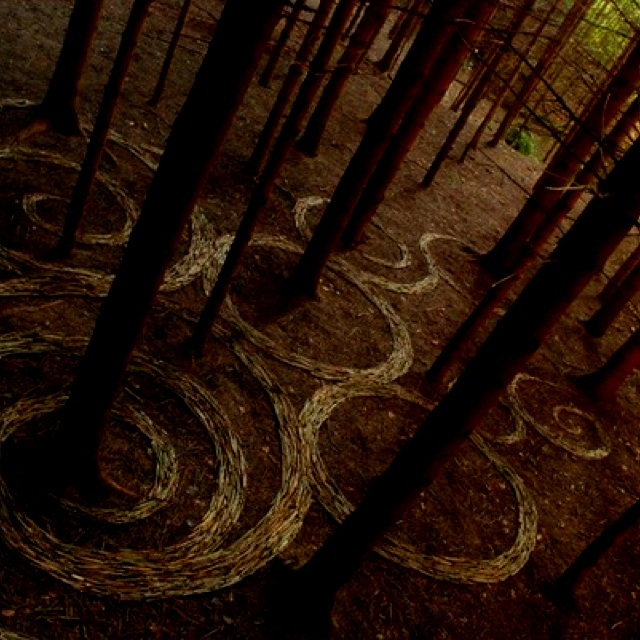 an aerial view of a forest with trees and swirls drawn on the ground in it