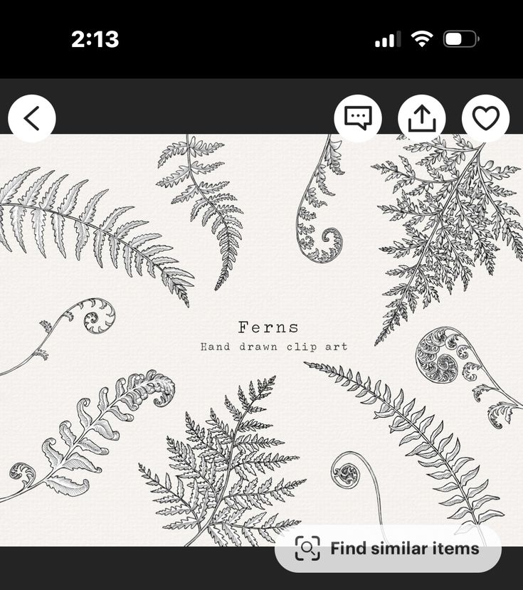 an image of some plants on a cell phone with the text ferns hand drawn in ink