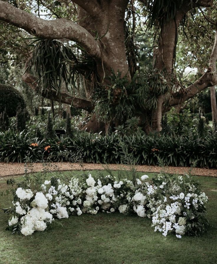 white flowers are arranged in the middle of a circular flower bed near a large tree