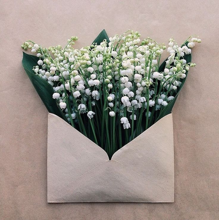 a bouquet of white flowers in an envelope