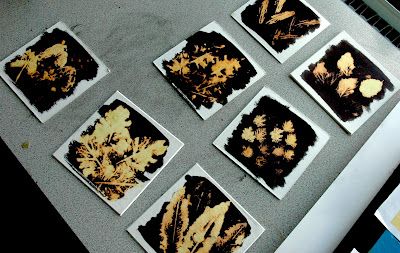 several square pictures with leaves on them sitting on a table next to papers and pens