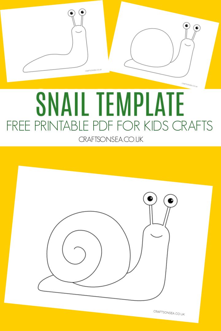 the snail template for kids's crafts