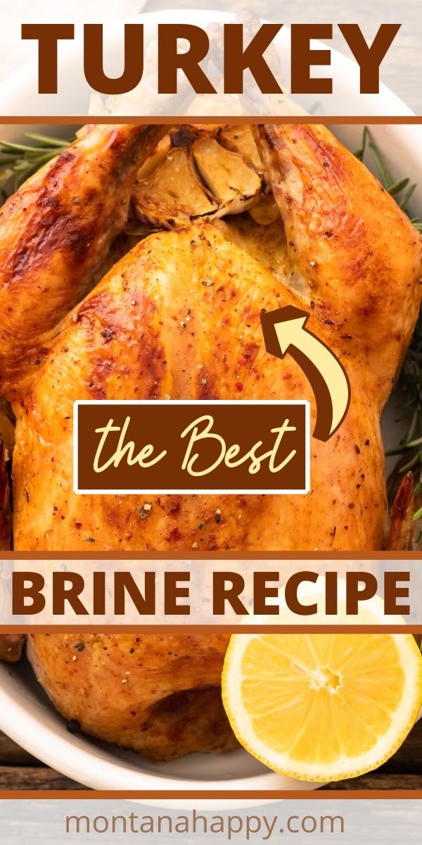 Whole cooked turkey with half a lemon Smoked Turkey Brine, Best Turkey Brine, Easy Turkey Brine, Turkey Brine Recipe, Best Turkey Recipe, Christmas Turkey Recipes, Recipe For Turkey, Brined Turkey, Whole Turkey Recipes