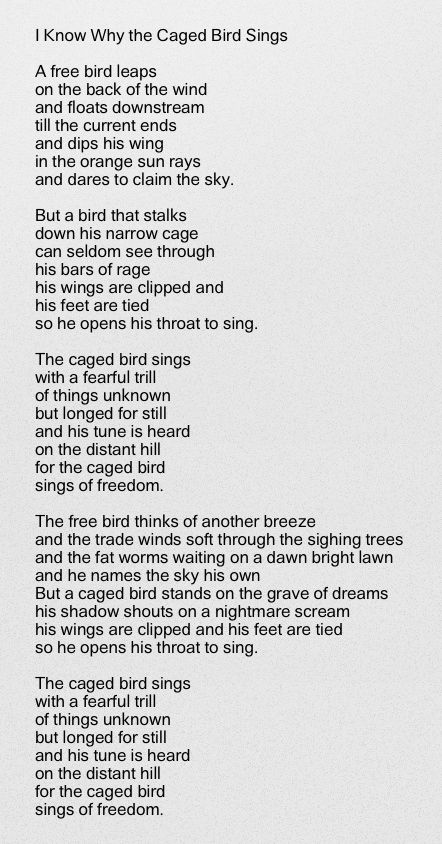 the poem is written in black and white with an image of a bird on it