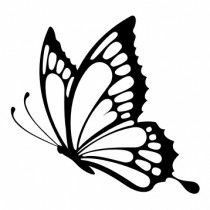 a black and white image of a butterfly